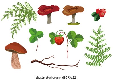 Set of vector leaves, berries and mushrooms icons. Forest summer and autumn design elements. Leaves art brushes. Isolated on white