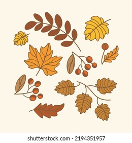 set of vector leaves and berries with outline