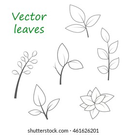 Set of vector leaves. Black and white illustration. Elements for web design and printing.