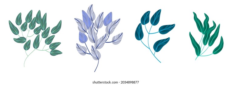 Set of vector leaves botanical graphic elements. Vector EPS10 Isolated on white background.