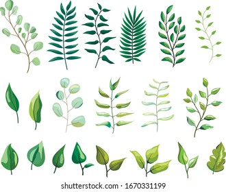 Set of vector leaves and branches. patterns of leaves and branches. hand drawn leaves and branches. natural elements for decoration.