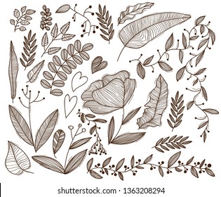 Set of vector leaves, flowers and berries