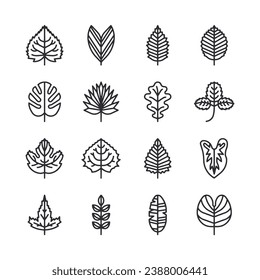 set of vector leaves icon