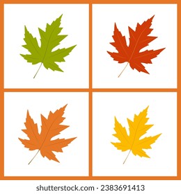 Set of vector leaves. Maple leaves. Flat design. Isolated on a white background.	
