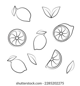 Set of vector lemons. A stylized lemon and a slice of lemon, half a lemon, made in the style of minimalism. Can be used as icons, logo, web pages, postcards, banners, menus and personal purposes.