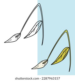 conjunto de ilustraciones de flores de lirio vectorial, editables para todas sus necesidades gráficas