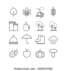 Set of vector line autumn icons for web design and decoration
