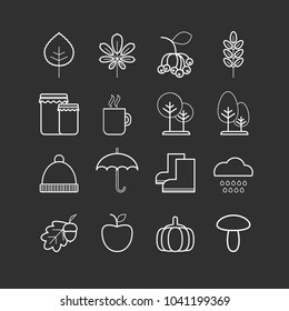 Set of vector line autumn icons for web design and decoration