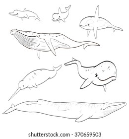 Set of vector line drawing illustration of cartoon whales and dolphins. 