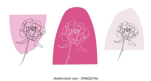 Set of vector line drawing peony flowers. Collections of card designs with flower. Continuous line drawing. Vector isolated illustration