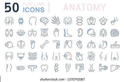 Set of vector line icons of anatomy for modern concepts, web and apps. 