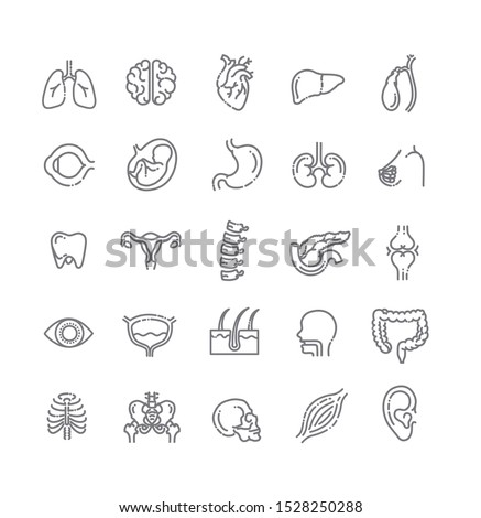 Set of vector line icons of anatomy for modern concepts