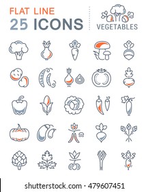 Set vector line icons in flat design Vegetables and Healthy food with elements for mobile concepts and web apps. Collection modern infographic logo and pictogram.