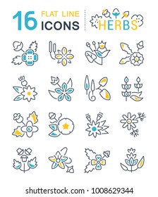 Set of vector line icons, sign and symbols with flat elements of herbs for modern concepts, web and apps. Collection of infographics logos and pictograms.