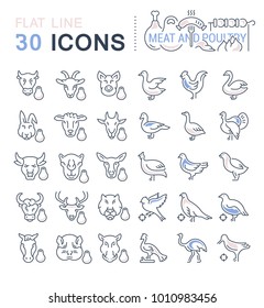 Set of vector line icons, sign and symbols with flat elements of meat and poultry for modern concepts, web and apps. Collection of infographics logos and pictograms.