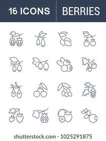 Set of vector line icons, sign and symbols of berries for modern concepts, web and apps. Collection of infographics elements, logos and pictograms.
