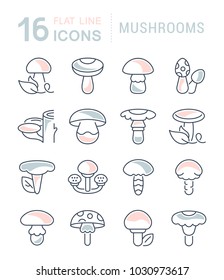 Set of vector line icons, sign and symbols with flat elements of mushrooms for modern concepts, web and apps. Collection of infographics logos and pictograms.