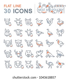 Set of vector line icons, sign and symbols with flat elements of meat and poultry for modern concepts, web and apps. Collection of infographics logos and pictograms.