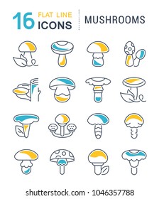 Set of vector line icons, sign and symbols with flat elements of mushrooms for modern concepts, web and apps. Collection of infographics logos and pictograms.