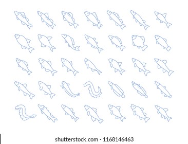 Set of vector line icons, sign and symbols of freshwater fish for modern concepts, web and apps. Collection of infographics elements, logos and pictograms.