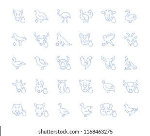 Set of vector line icons, sign and symbols of meat and poultry for modern concepts, web and apps. Collection of infographics elements, logos and pictograms.