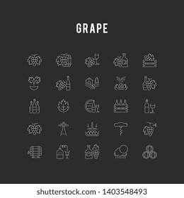 Set vector line icons, sign and symbols in flat design grape with elements for mobile concepts and web apps. Collection modern infographic logo and pictogram.