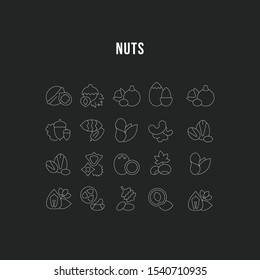 Set vector line icons, sign and symbols in flat design nuts with elements for mobile concepts and web apps. Collection modern infographic logo and pictogram.