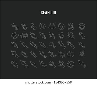 Set of vector line icons, sign and symbols of seafood for modern concepts, web and apps. Collection of infographics elements, logos and pictograms.