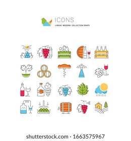 Set vector line icons, sign and symbols in flat design grape with elements for mobile concepts and web apps. Collection modern infographic logo and pictogram.