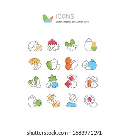 Set vector line icons, sign and symbols in flat design nuts with elements for mobile concepts and web apps. Collection modern infographic logo and pictogram.