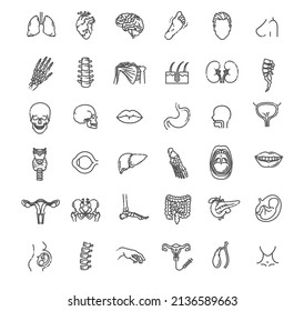 Set vector line icons, sign and symbols in flat design medicine and health. Human internal organs