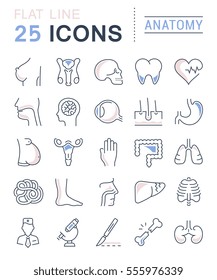 Set vector line icons, sign and symbols in flat design anatomy with elements for mobile concepts and web apps. Collection modern infographic logo and pictogram.