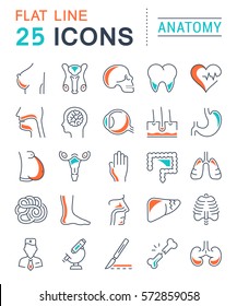 Set vector line icons, sign and symbols in flat design anatomy with elements for mobile concepts and web apps. Collection modern infographic logo and pictogram.