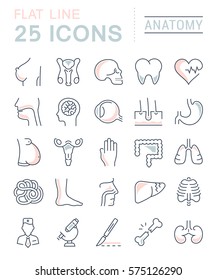 Set vector line icons, sign and symbols in flat design anatomy with elements for mobile concepts and web apps. Collection modern infographic logo and pictogram.