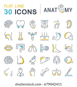 Set vector line icons, sign and symbols in flat design of anatomy and physiology with elements for mobile concepts and web apps. Collection modern infographic logo and pictogram.