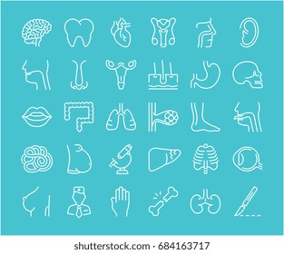 Set vector line icons, sign and symbols in flat design of anatomy and physiology with elements for mobile concepts and web apps. Collection modern infographic logo and pictogram.
