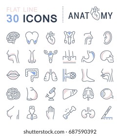 Set vector line icons, sign and symbols in flat design of anatomy and physiology with elements for mobile concepts and web apps. Collection modern infographic logo and pictogram.