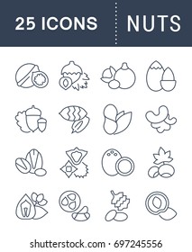 Set vector line icons, sign and symbols in flat design nuts with elements for mobile concepts and web apps. Collection modern infographic logo and pictogram.