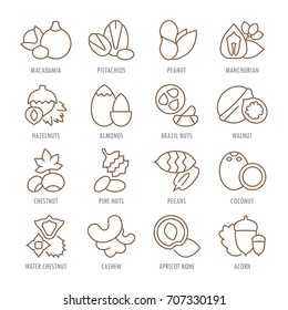 Set vector line icons, sign and symbols in flat design with names of nuts. Collection modern infographic logo and pictogram.