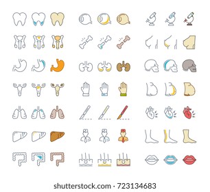 Set vector line icons, sign and symbols in flat design of anatomy and physiology with elements for mobile concepts and web apps. Collection modern infographic logo and pictogram.