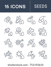 Set of vector line icons, sign and symbols of seeds for modern concepts, web and apps. Collection of infographics elements, logos and pictograms.