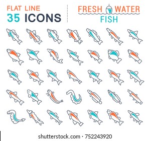 Set of vector line icons, sign and symbols with flat elements of freshwater fish for modern concepts, web and apps. Collection of infographics logos and pictograms.