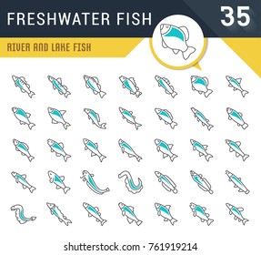 Set of vector line icons, sign and symbols of freshwater fish for modern concepts, web and apps. Collection of infographics logos and pictograms.