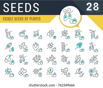 Set of vector line icons, sign and symbols of seeds for modern concepts, web and apps. Collection of infographics logos and pictograms.