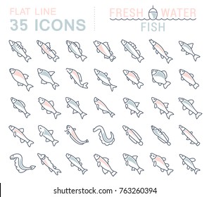 Set of vector line icons, sign and symbols with flat elements of freshwater fish for modern concepts, web and apps. Collection of infographics logos and pictograms.