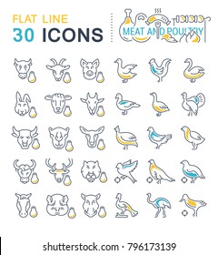 Set of vector line icons, sign and symbols with flat elements of meat and poultry for modern concepts, web and apps. Collection of infographics logos and pictograms.