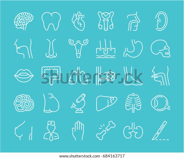 Set Vector Line Icons Sign And Symbols In Flat Design Of Anatomy And