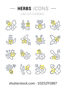 Set of vector line icons and signs with yellow squares of herbs for excellent concepts. Collection of infographics logos and pictograms.