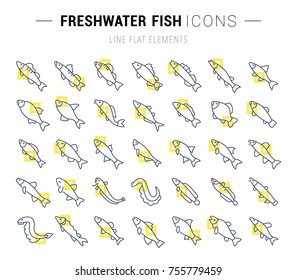 Set of vector line icons and signs with yellow squares of freshwater fish for excellent concepts. Collection of infographics logos and pictograms.