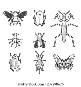 Set vector line  insects volume 4